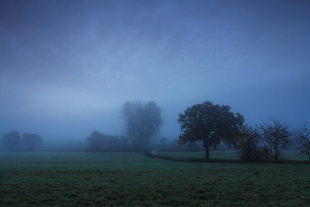 Blue misty morning