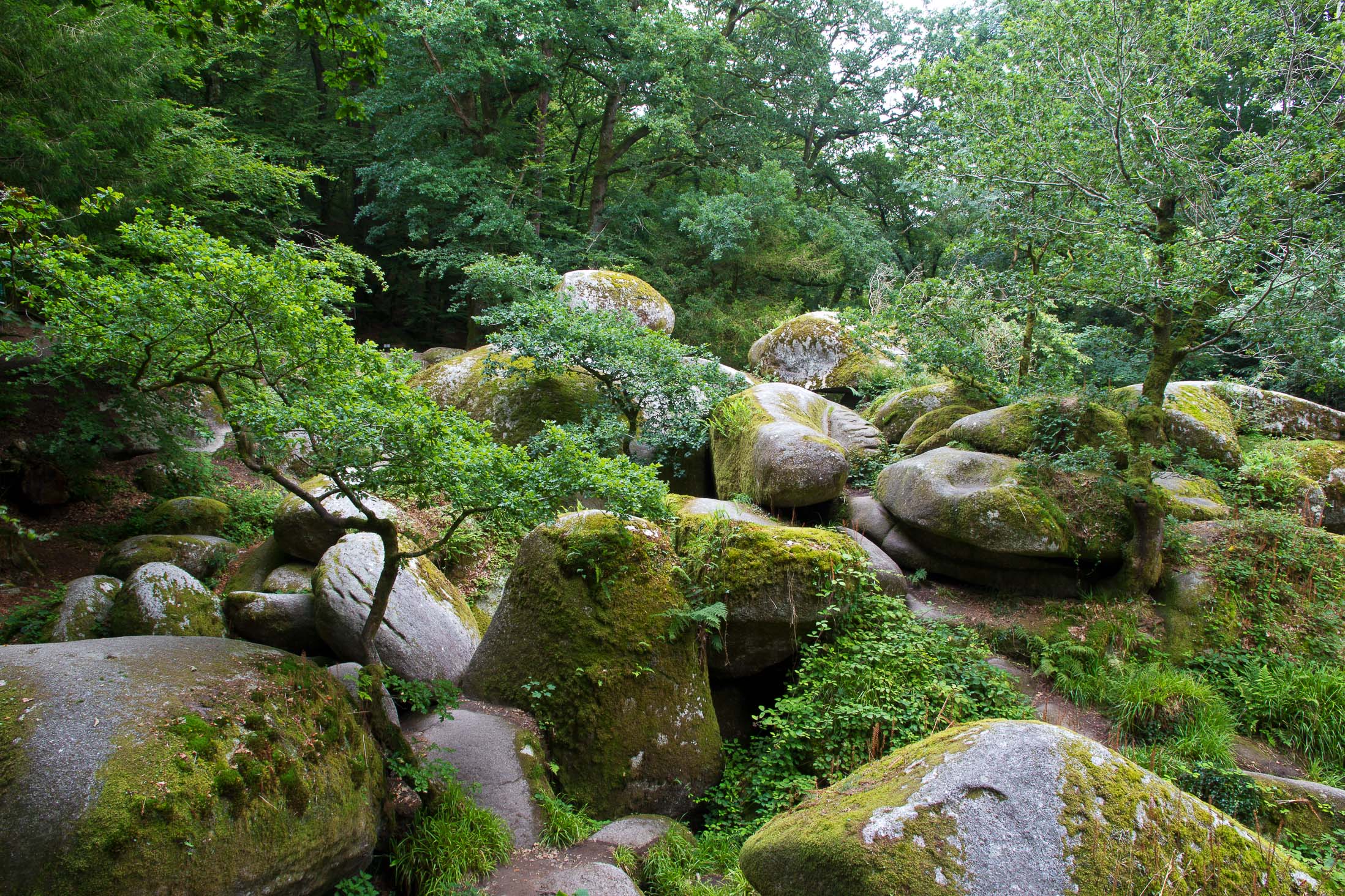 Märchenwald von Huelgoat