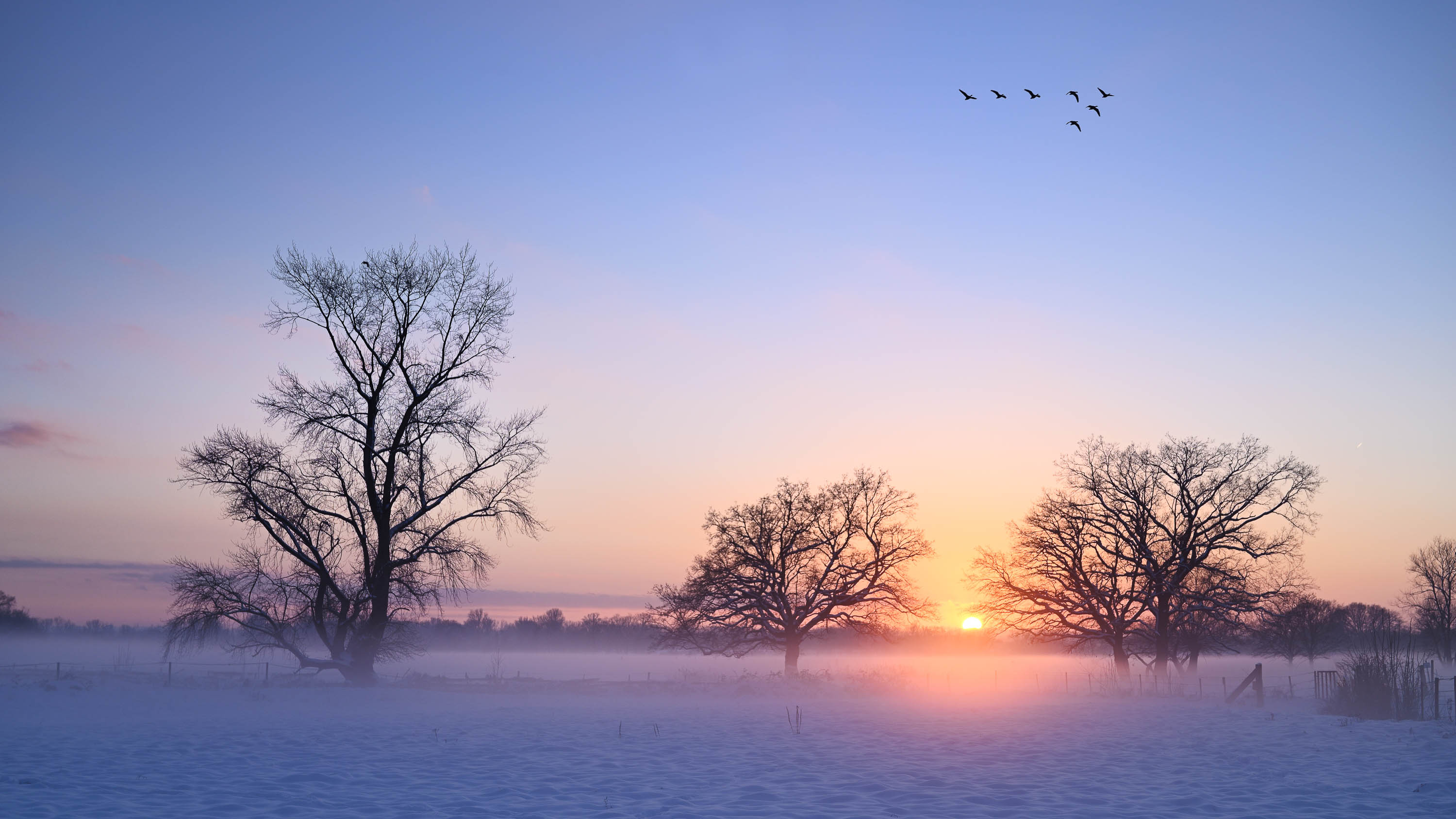 Sonnenuntergang im Winter