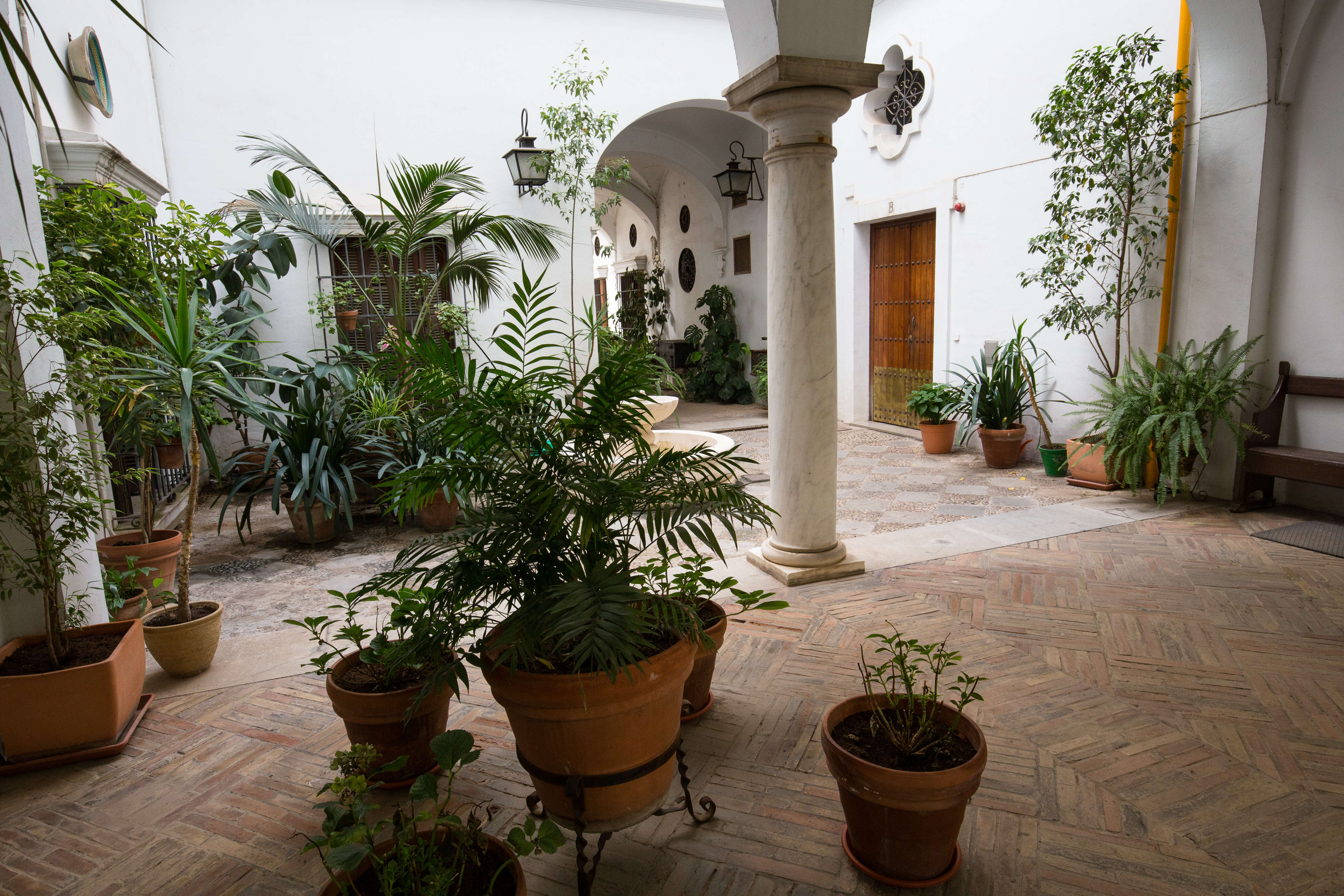 Pflanzen im Innenhof