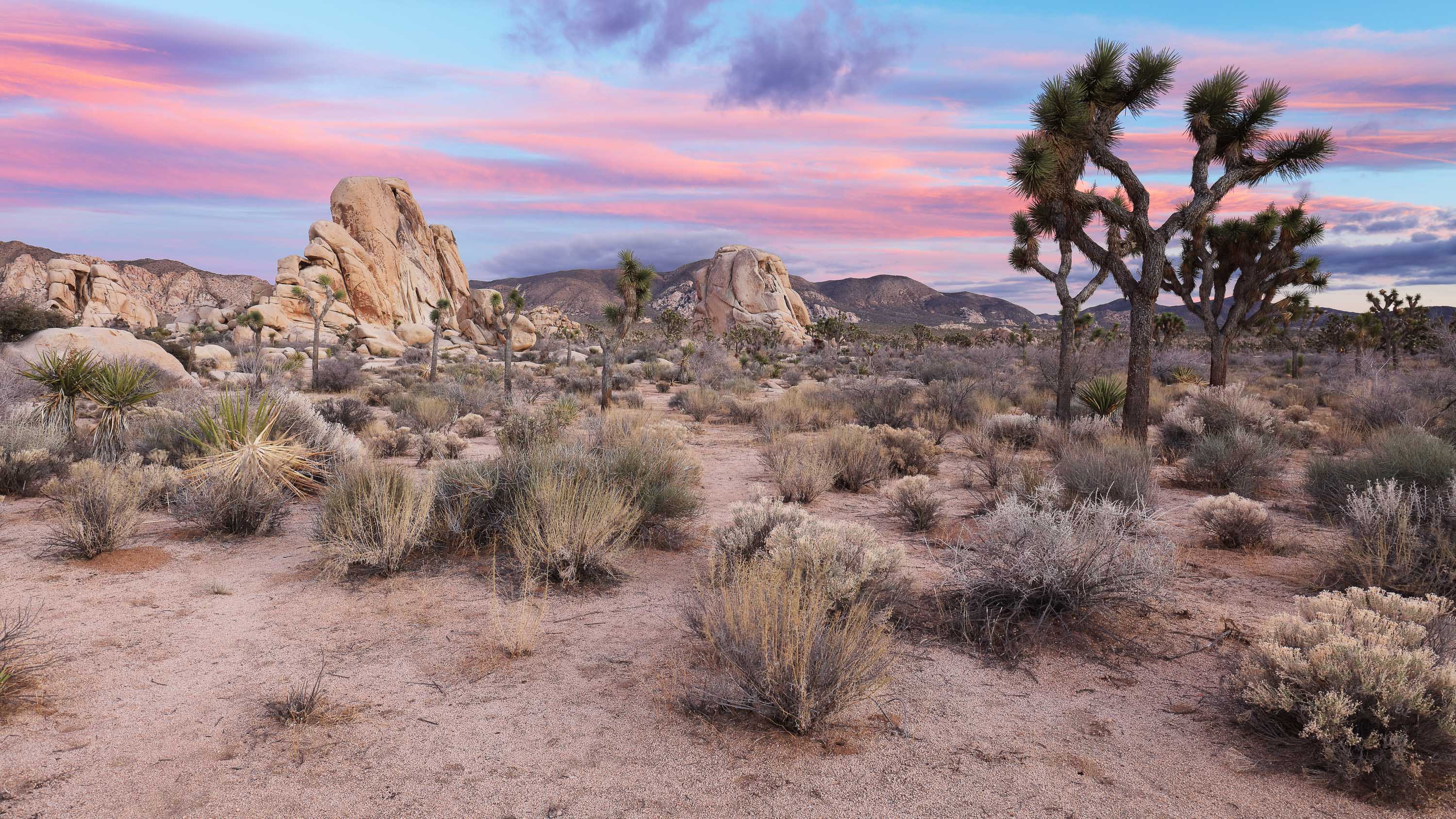 Nationalparks in den USA - Der Südwesten