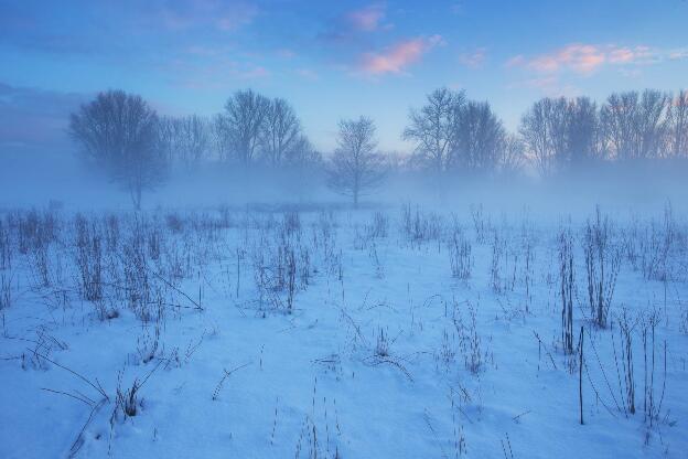 Nebel am Waldrand im Winter