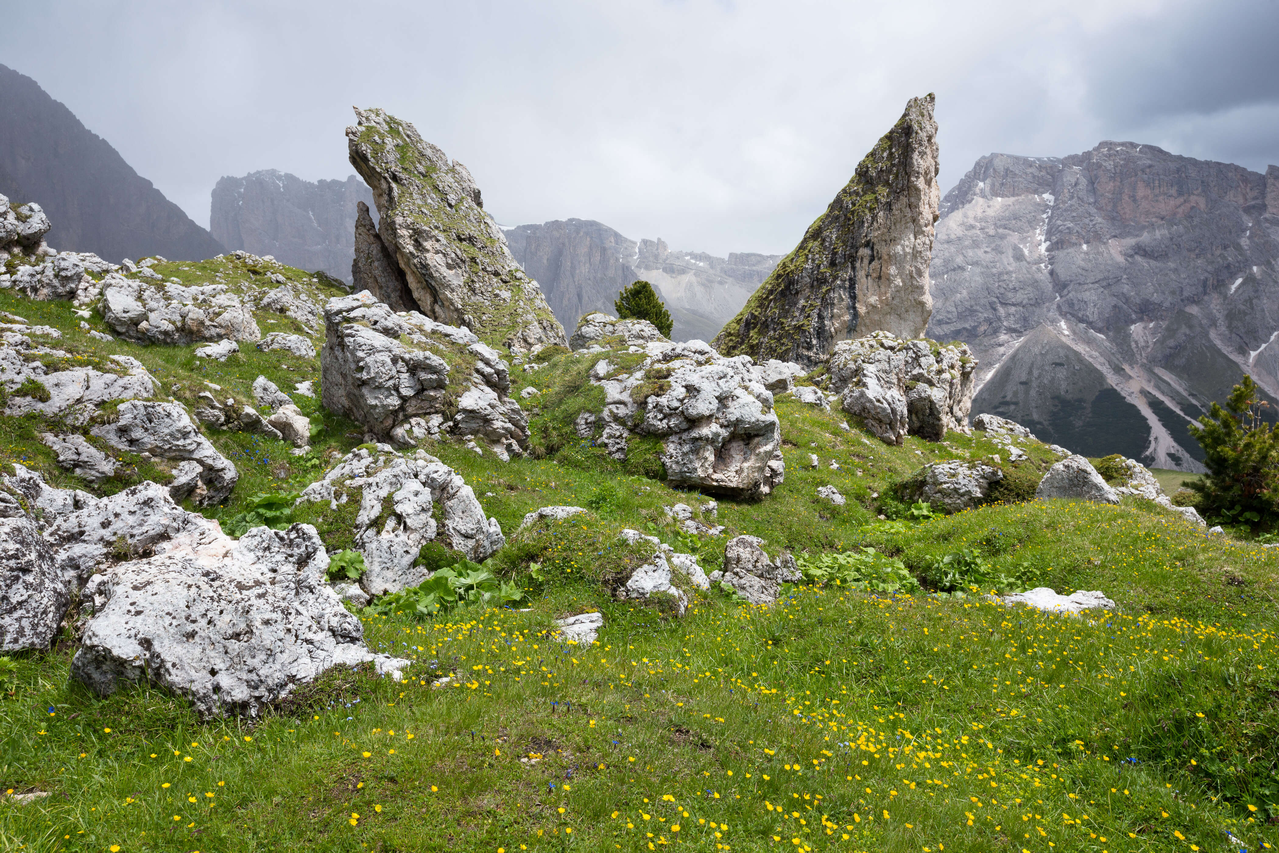 Felsnadel an der Pieralongia Alm