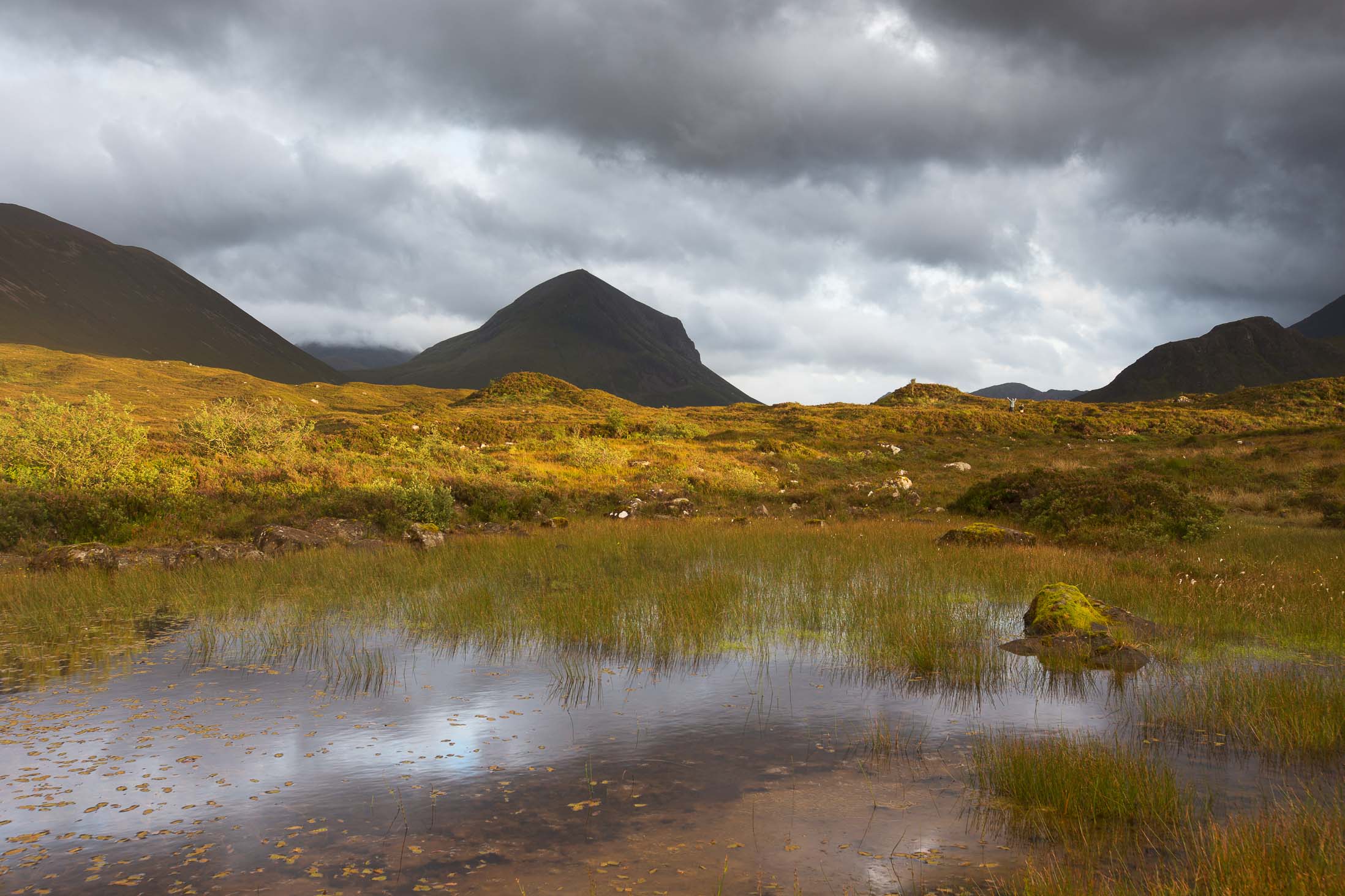 Präsentation und Kategorisierung von Natur- und Landschaftsfotos in einem Portfolio