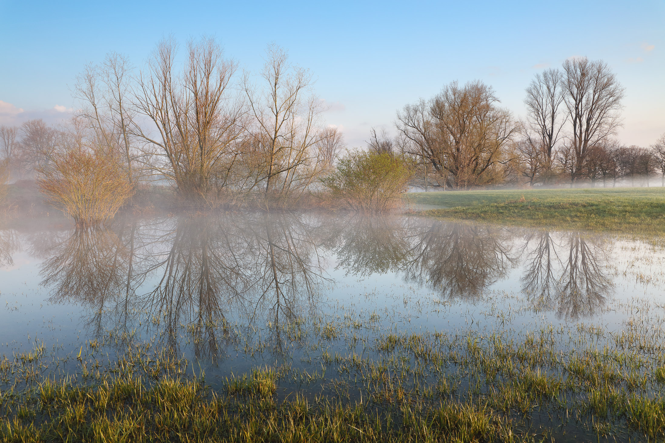 Überflutete Siegauen